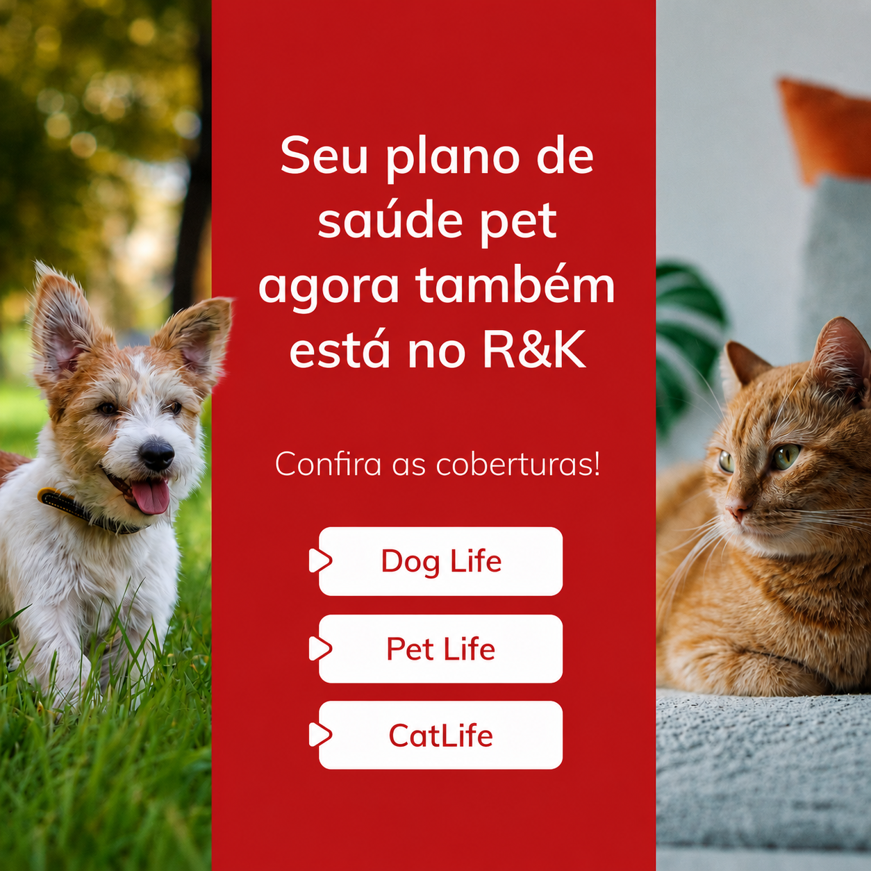 Planos Dog Life, Pet Life e CatLife agora também são aceitos no R&K Diagnóstico