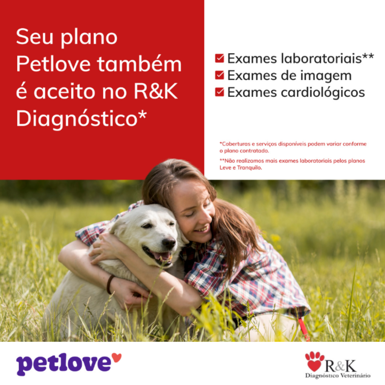 Plano Petlove (1)